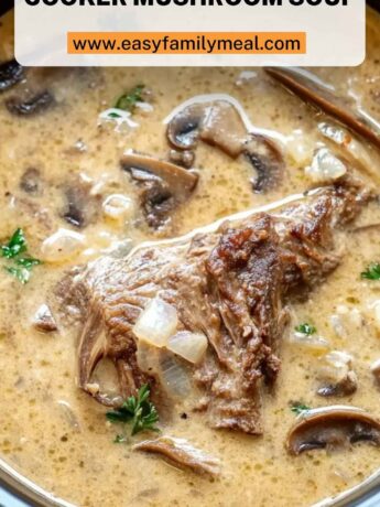 Pot Roast Recipe Slow Cooker Mushroom Soup