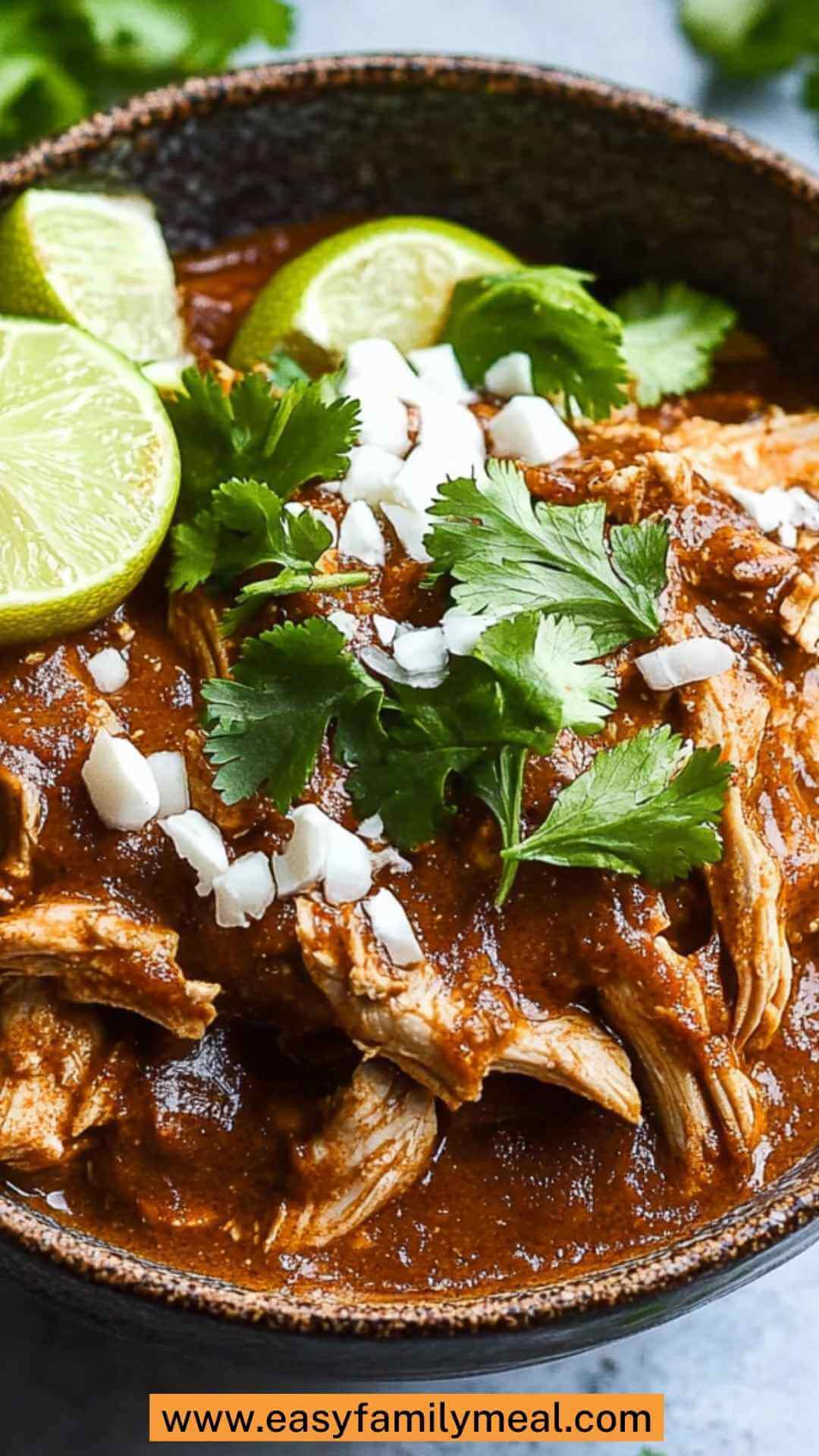 Best Slow Cooker Chicken Mole Recipe