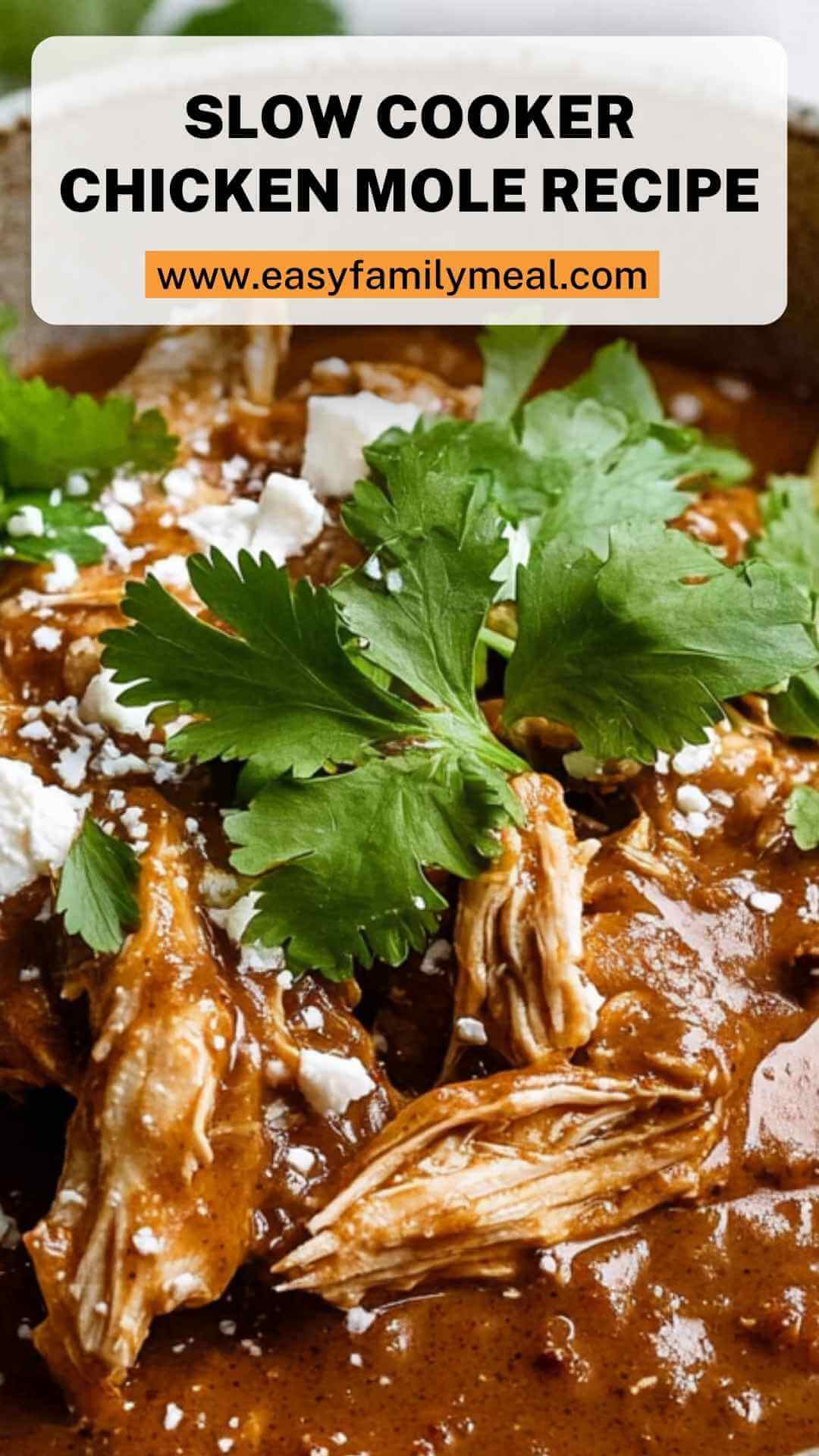 Slow Cooker Chicken Mole Recipe