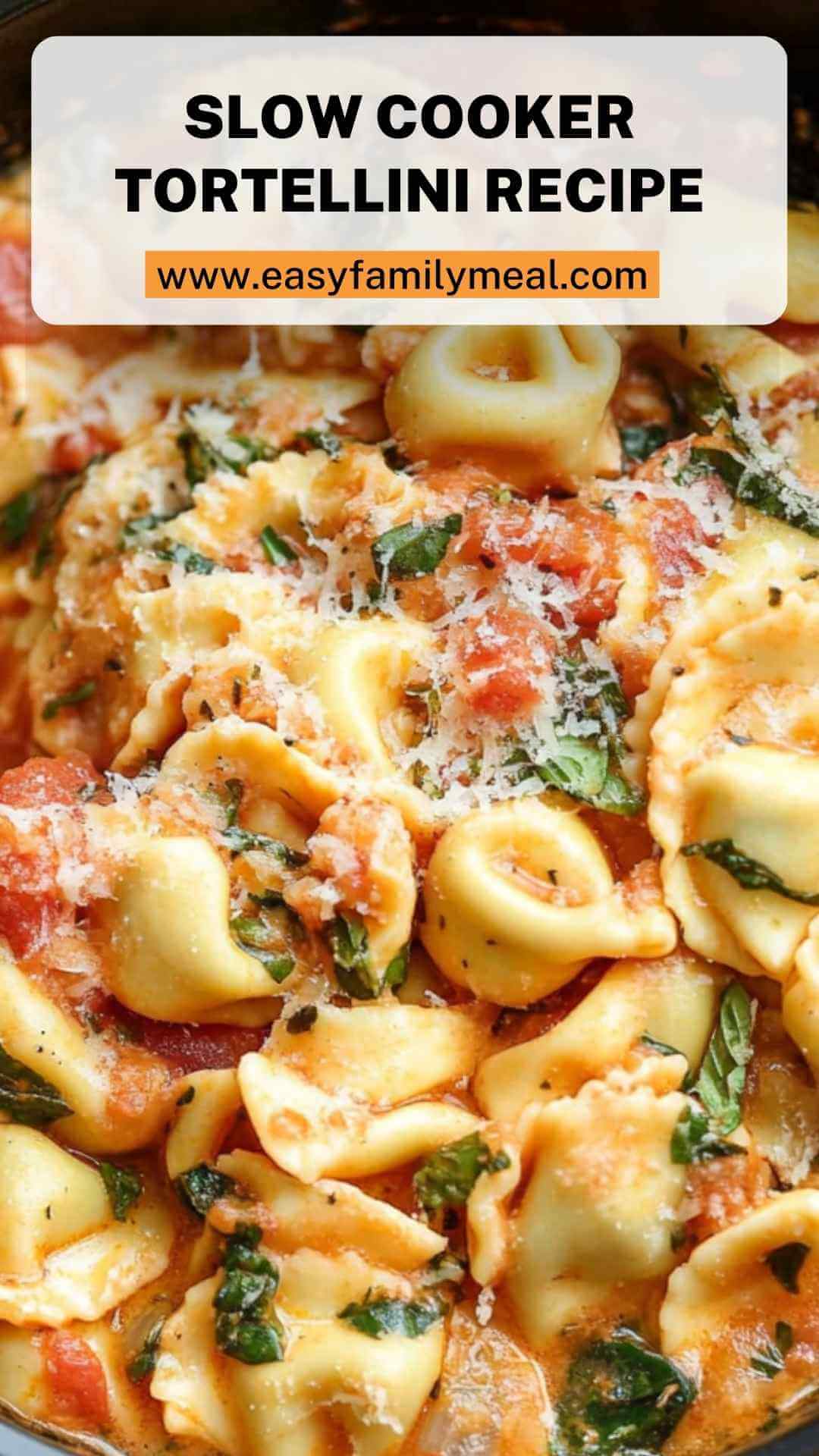Slow Cooker Tortellini Recipe