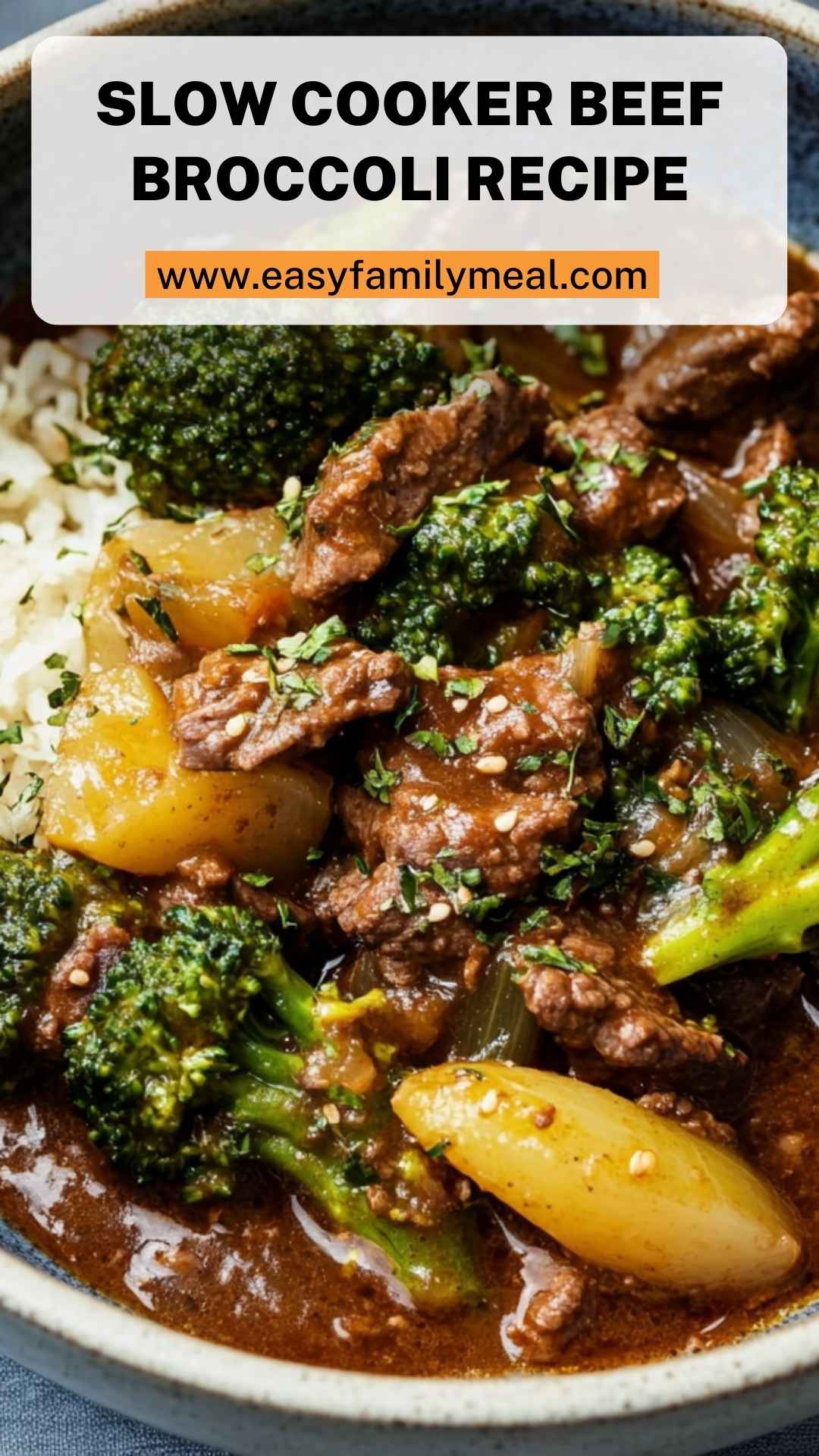 Slow Cooker Beef Broccoli Recipe
