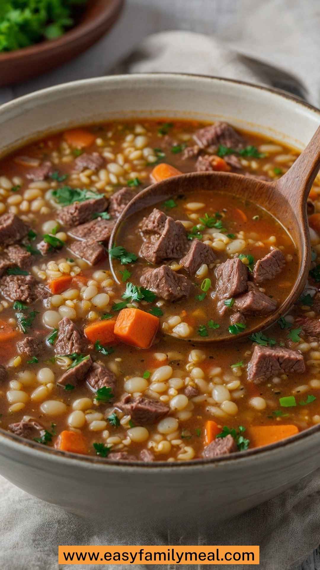 Best Beef Barley Soup Recipe Best Beef Barley Soup Recipe