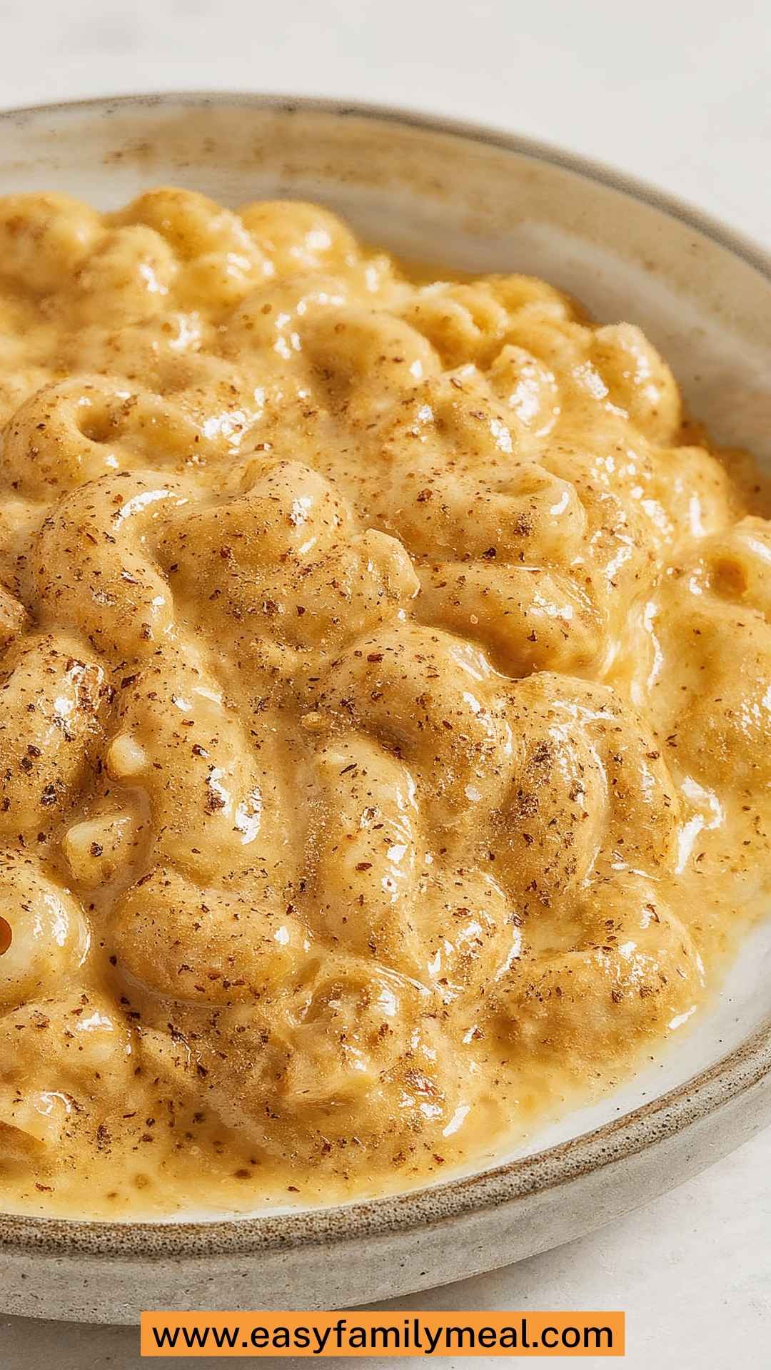 Stovetop Mac and Cheese Copycat Recipe Stovetop Mac and Cheese Copycat Recipe
