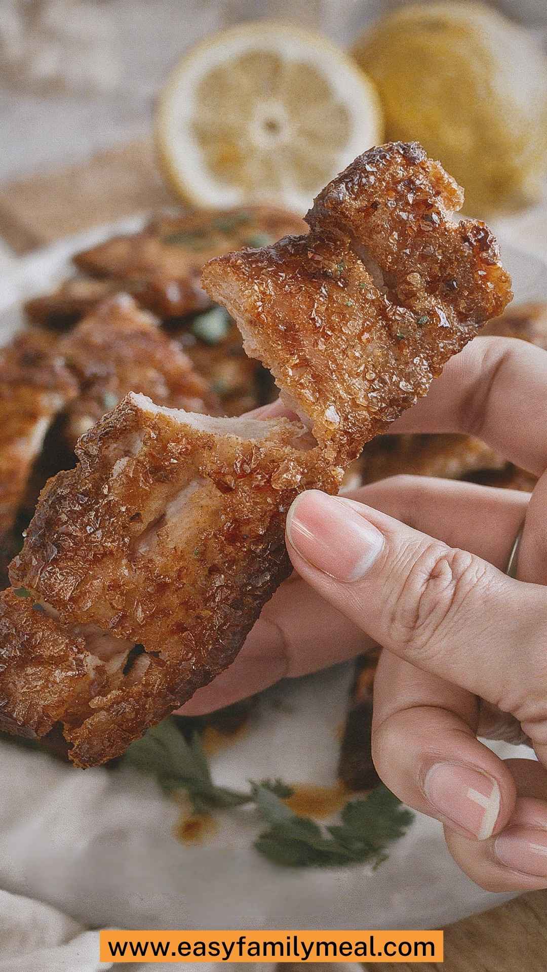 The Nasty Bits How To Make Chicharrones Copycat Recipe The Nasty Bits How To Make Chicharrones Copycat Recipe
