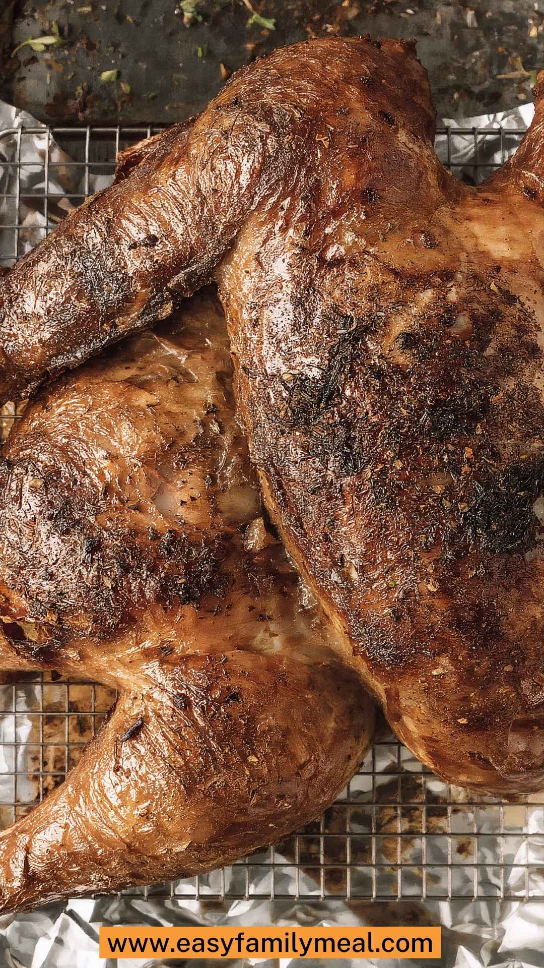 Best Spice Rubbed Butterflied Smoked Turkey Best Spice Rubbed Butterflied Smoked Turkey