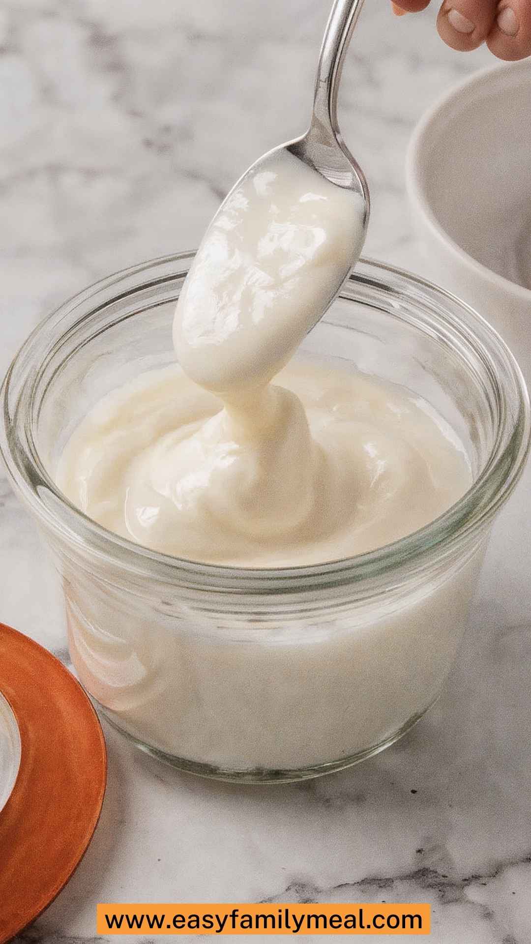 Best Two Minute Mayonnaise Best Two Minute Mayonnaise