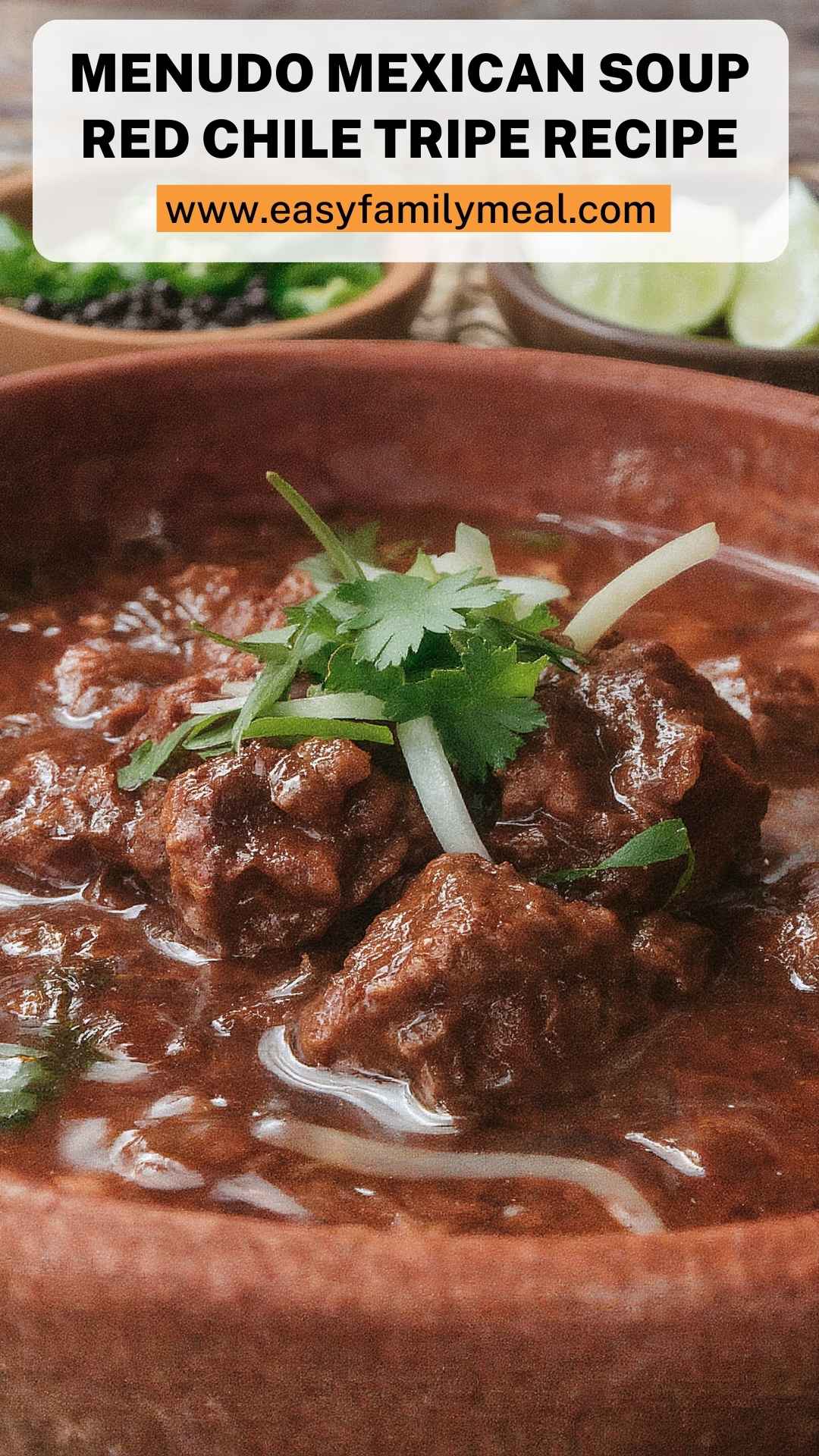 Menudo Mexican Soup Red Chile Tripe Recipe